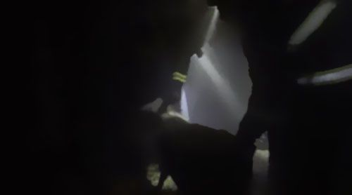 南洋電纜分享要聞：雨天電線短路，小羊險(xiǎn)成&ldquo;烤全羊&rdquo;